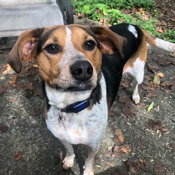 Meet your Posher, Kate - Picture 1 of 1